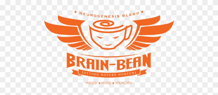 Brain #543254