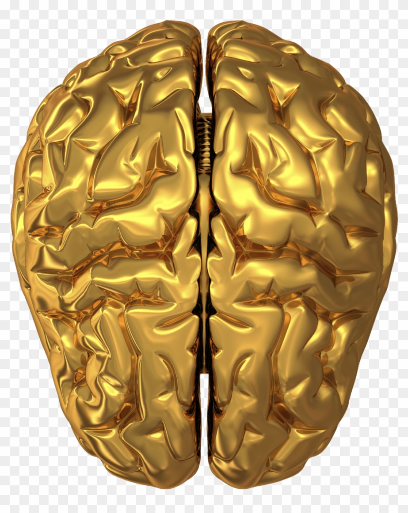 Psychology - - Your Brain Has A Bent (not A Dent!) [book] #543639