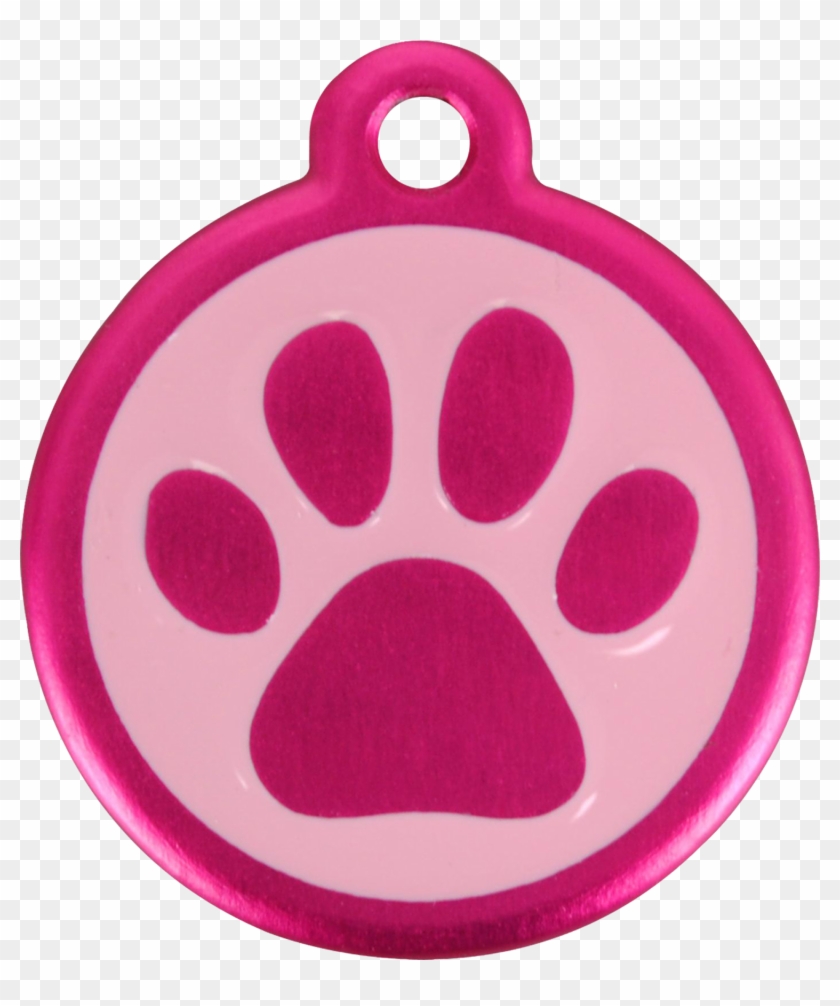 Product Codes - Red Dingo 05-pp-re-lg Qr Tag I #543696