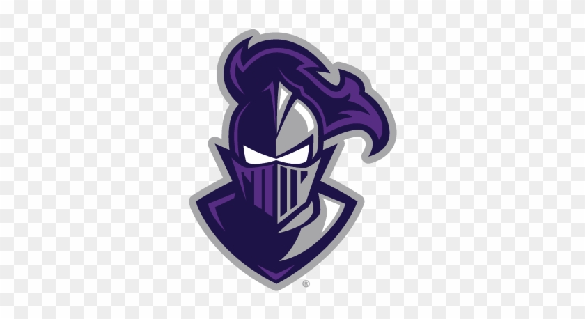 See Requirements - Furman Paladins #543962