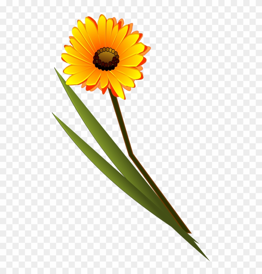 Free Flowers Gerbera - Single Flower Images Png #94864