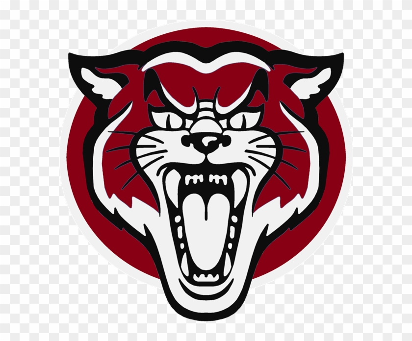 Cte Free Summer Camp - Wildcats Clipart #94940