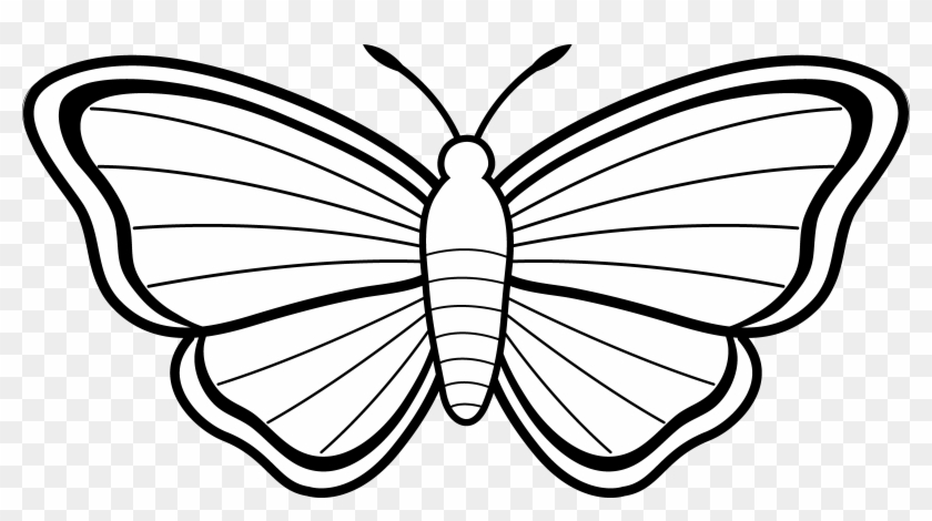 Terrific Images Of Butterflies To Color Unparalleled - Colouring Images Of Butterfly #101864