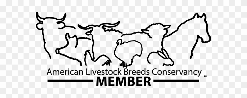 Black & White Member Logo Jpg Pdf Png - Cartoon #544716