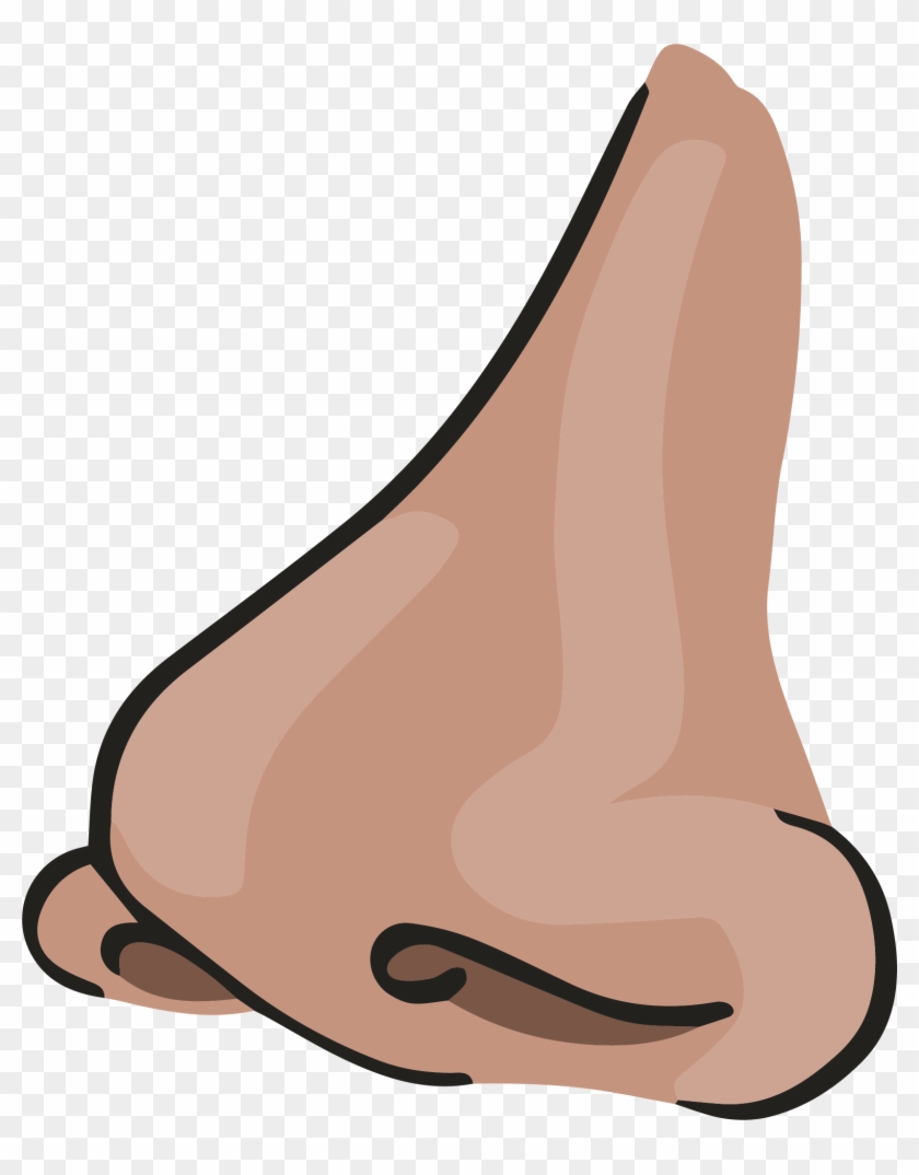 Pancreas - Pancreas #545709
