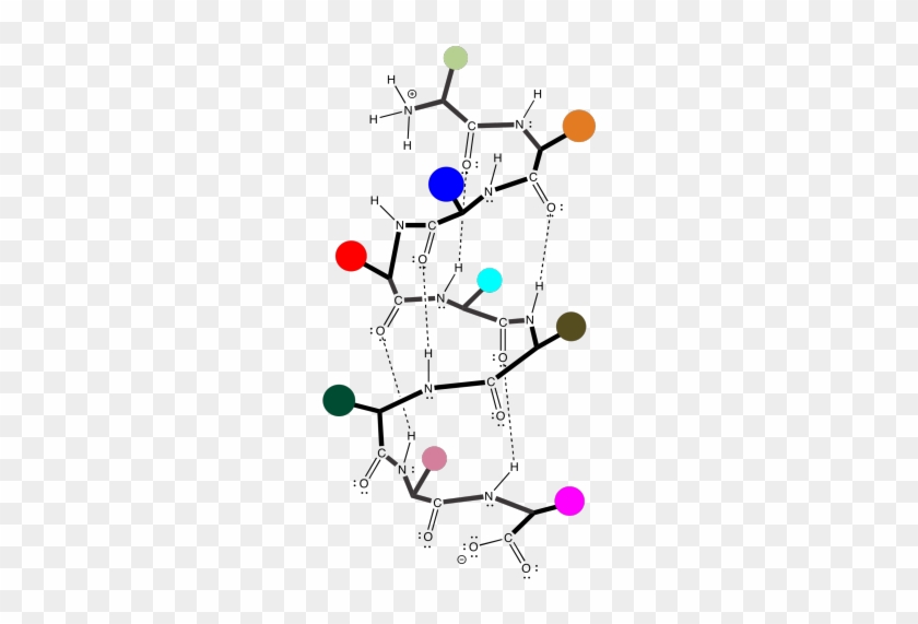 They Are Units Of Structural Organization That Frequently - Example Of Alpha Helix Hydrogen Bonding #545928