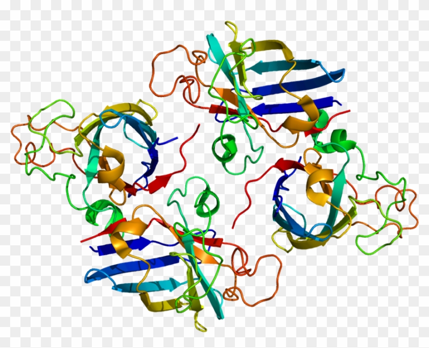 Copper Chaperone For Superoxide Dismutase #546525