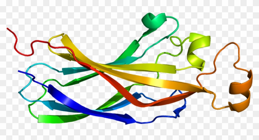 Clip Art #546561