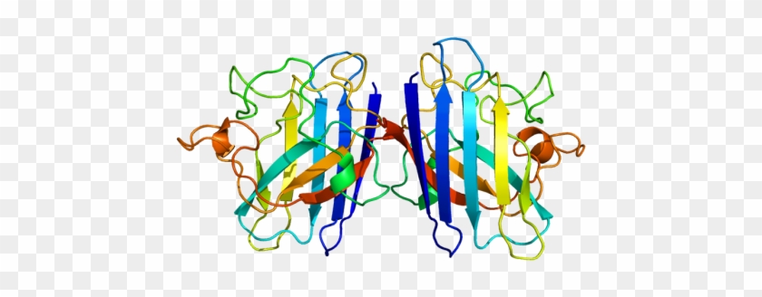 Copper, Zinc Superoxide Dismutase - Valine Sod1 #546648