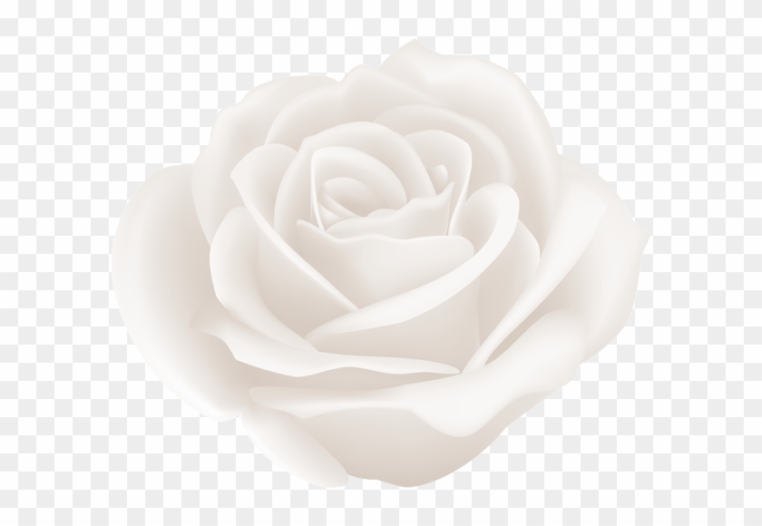 Centifolia Roses Garden Roses Clip Art - Centifolia Roses Garden Roses Clip Art #548603