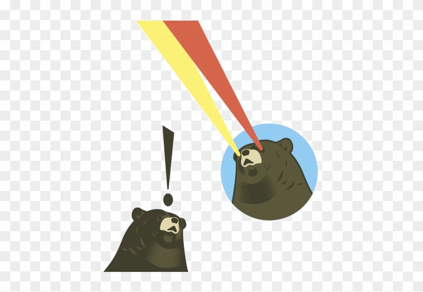 Brown Bear American Black Bear Illustration - Brown Bear American Black Bear Illustration #548719