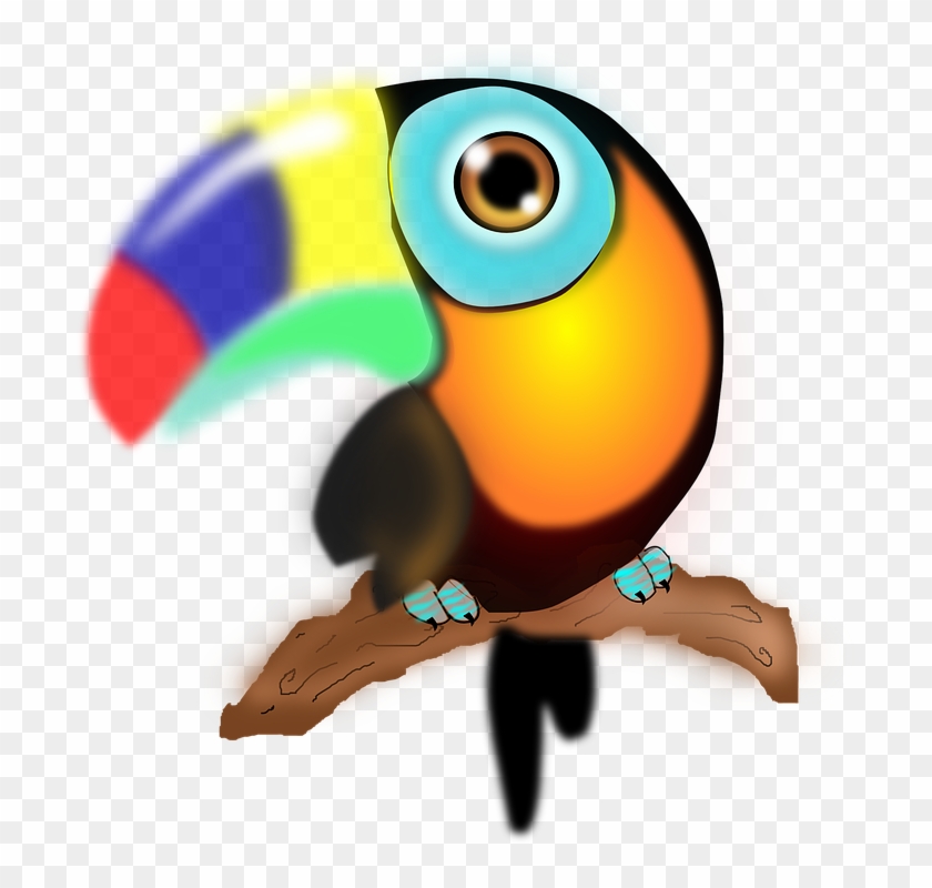 Sitting Parrot Cliparts 19, Buy Clip Art - Tucan Png #548731