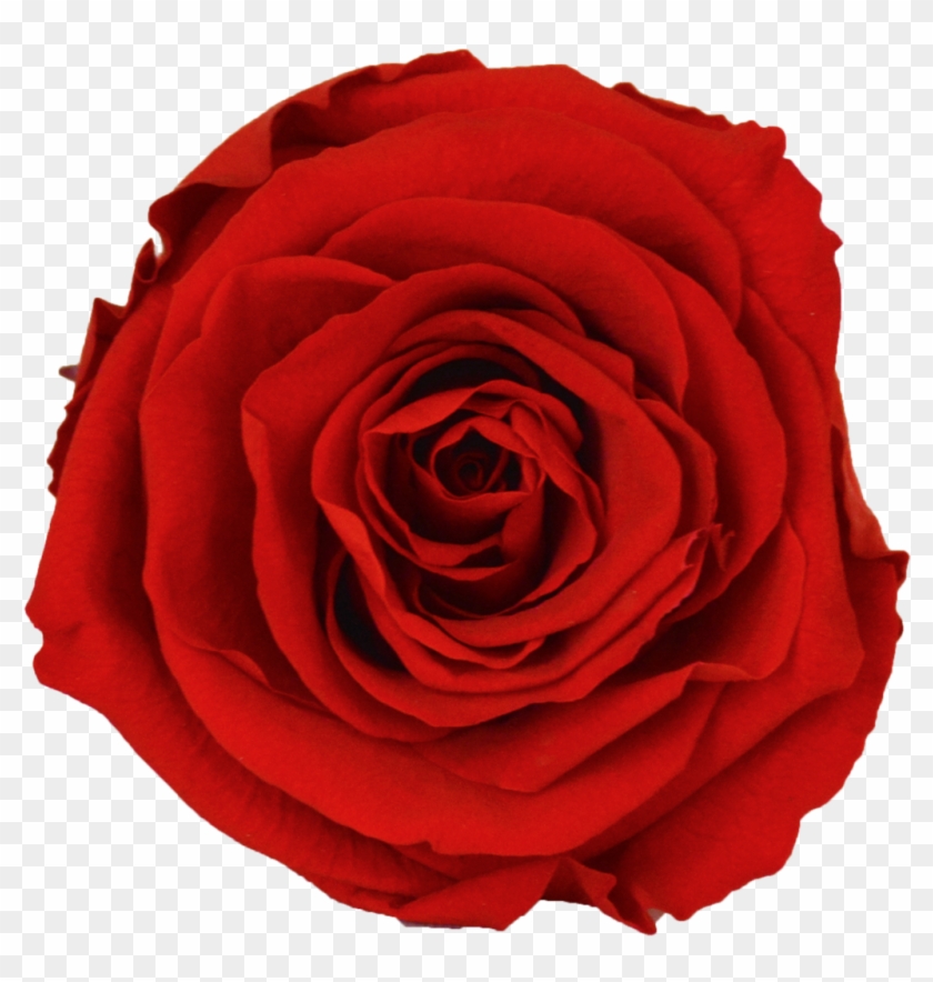 Nine Rose Cube - Four Roses #552720