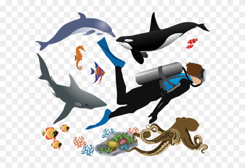 Luau - Orca Clipart #554461