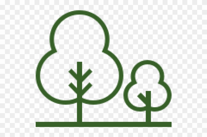 Woodlands For Wildlife And Biodiversity - Nöbbele #554921