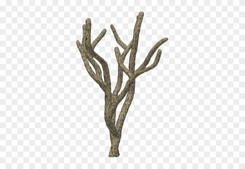 Coral 03 By Clipartcotttage - Coral Cliart Png #555664