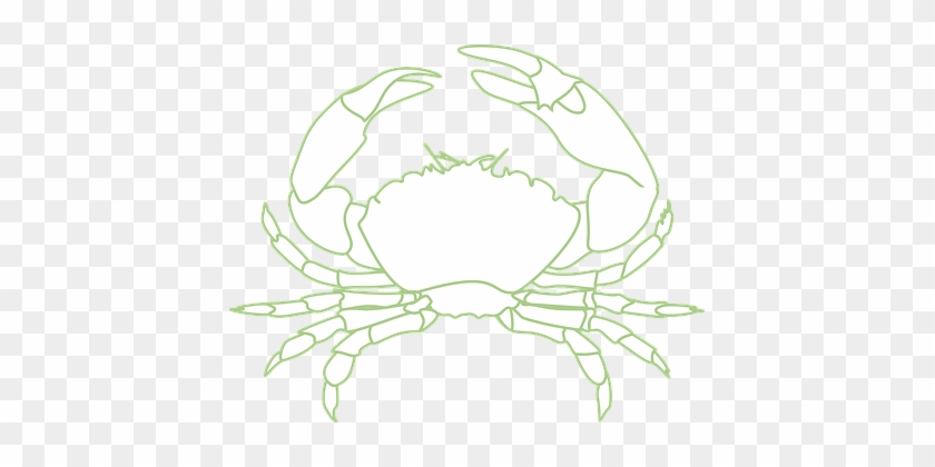 Crab Crustacean Sea Life Lobster Crayfish - Summary & Study Guide - The Emperor Of All Maladies: #556684