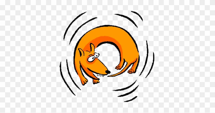 Chase Your Tail / Run Around Like A Headless Chicken=dar - Dog Chasing His Tail #558154