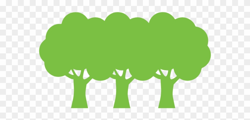 Dejar De Contaminar Por Ya No Talar Árboles - Tree #558354