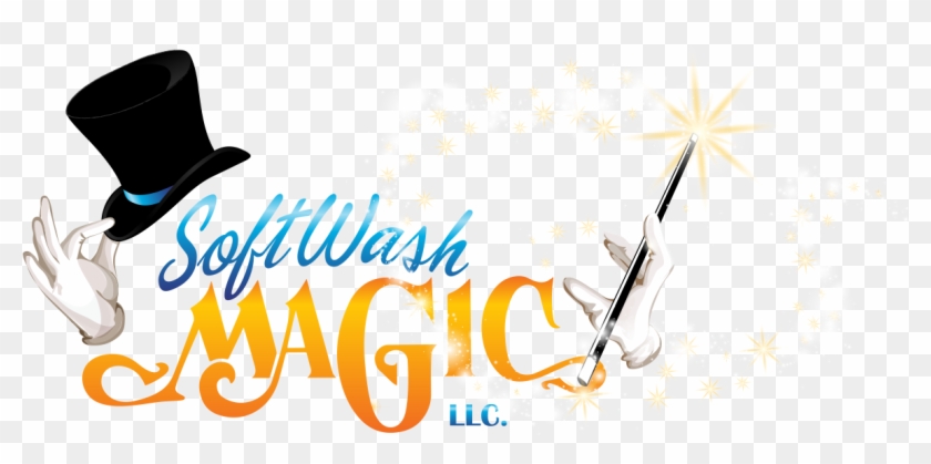 Softwash Magic - Roof Cleaning #558906
