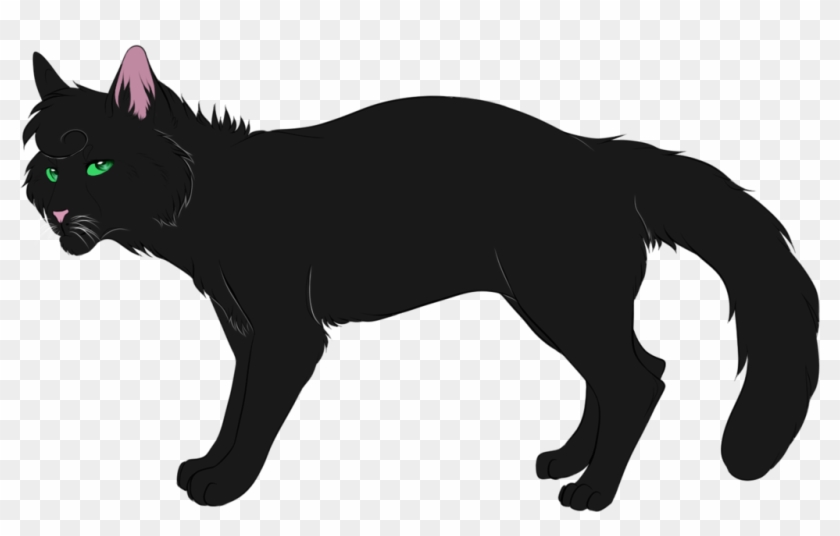 Hollyleaf By Spottedfire23 Hollyleaf By Spottedfire23 - Drawing #558940