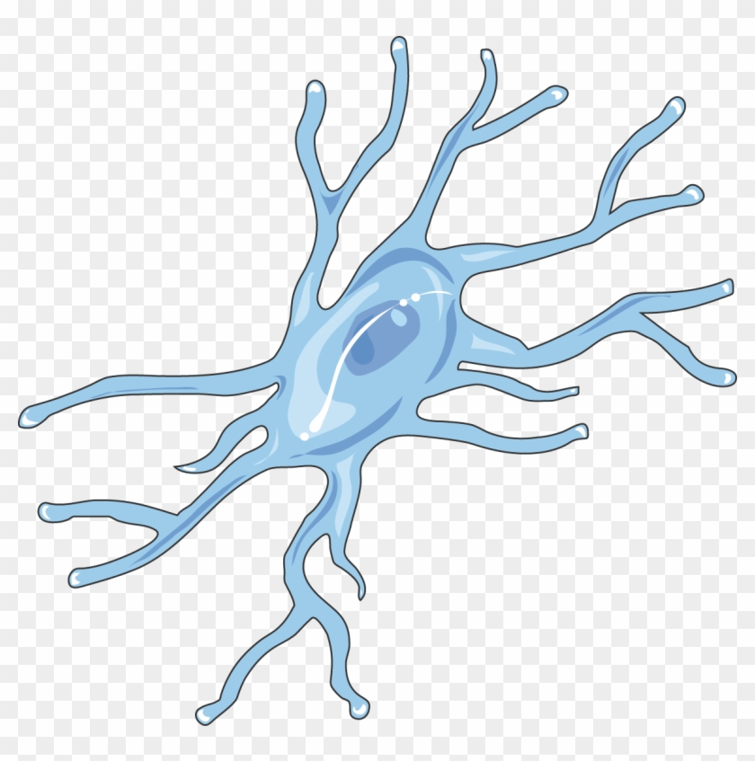 Microglia - Microglia Png #559932
