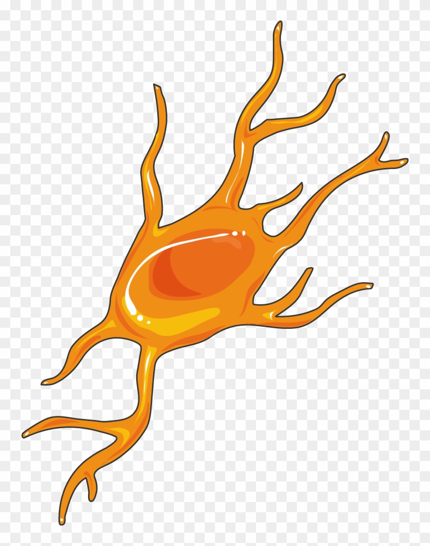 Neuroblaste - Cyclooxygenase #559937