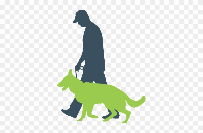 Dog Solve Logo - Drawing #561292