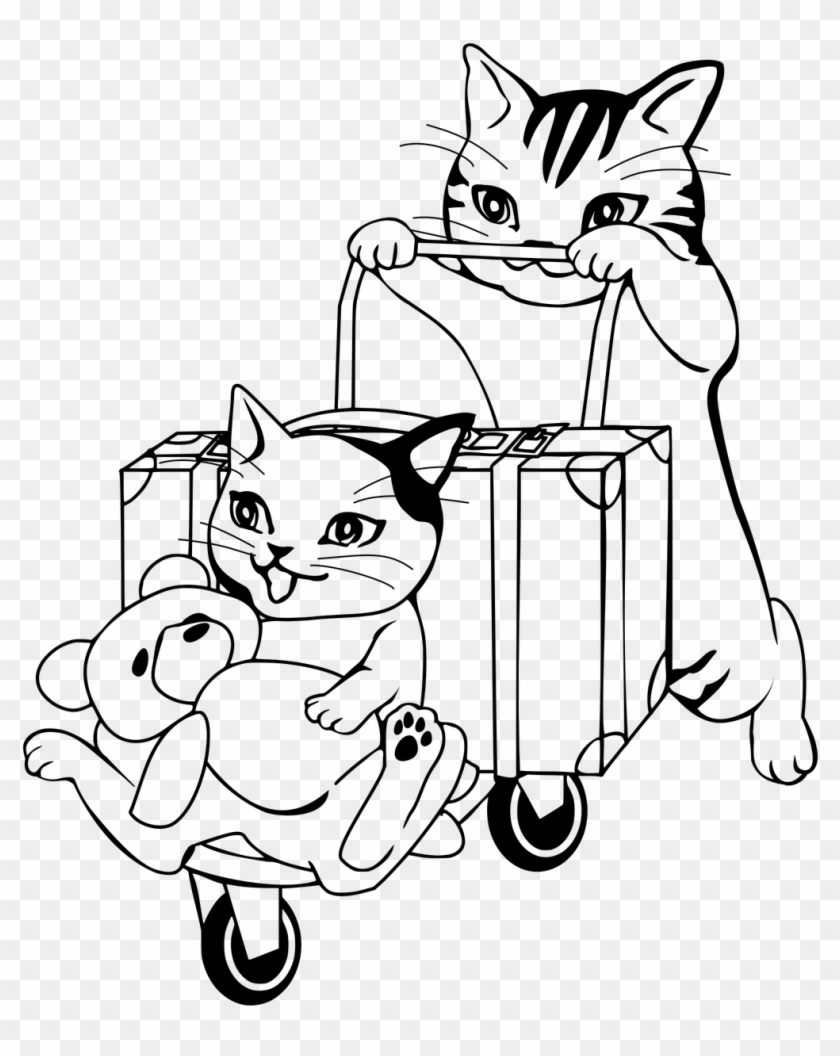 Corrected Phone Number - Suitcase #561320