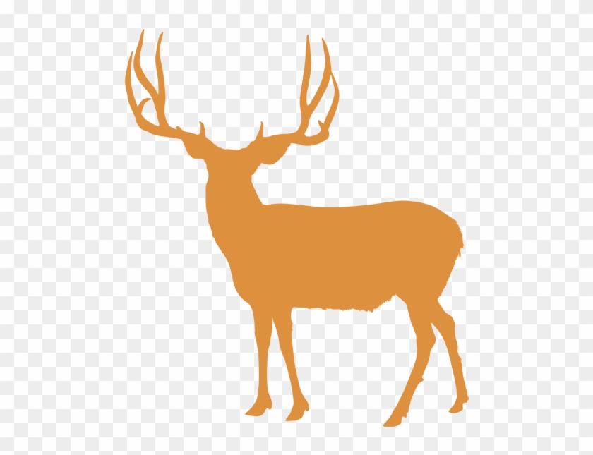 Select A Species To Learn More - Utah Elk Unit Central Mountains Manti #562961