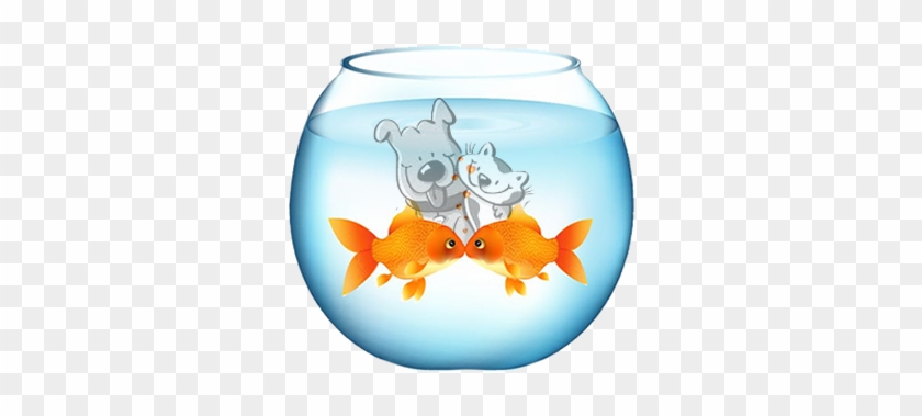  Goldfish Bowl Png Clipart #563571
