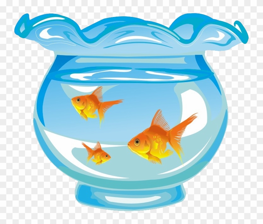 Goldfish Aquarium Fishkeeping - Goldfish In Fish Tank Cartoon #563640