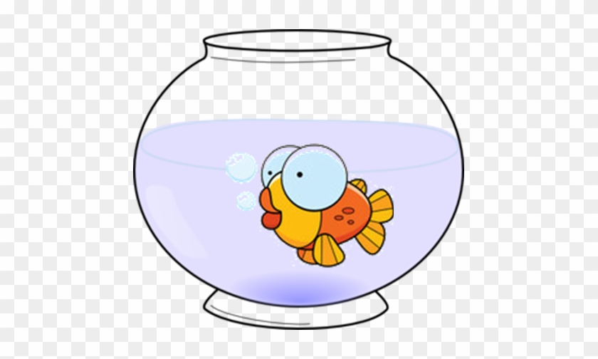 Kuidas Saaks Kuldkala Hakkama Avavees - Clip Art #563692