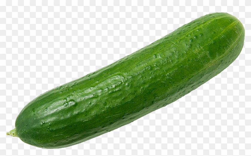 Cucumber Clipart Transparent - Cucumber Png #564085