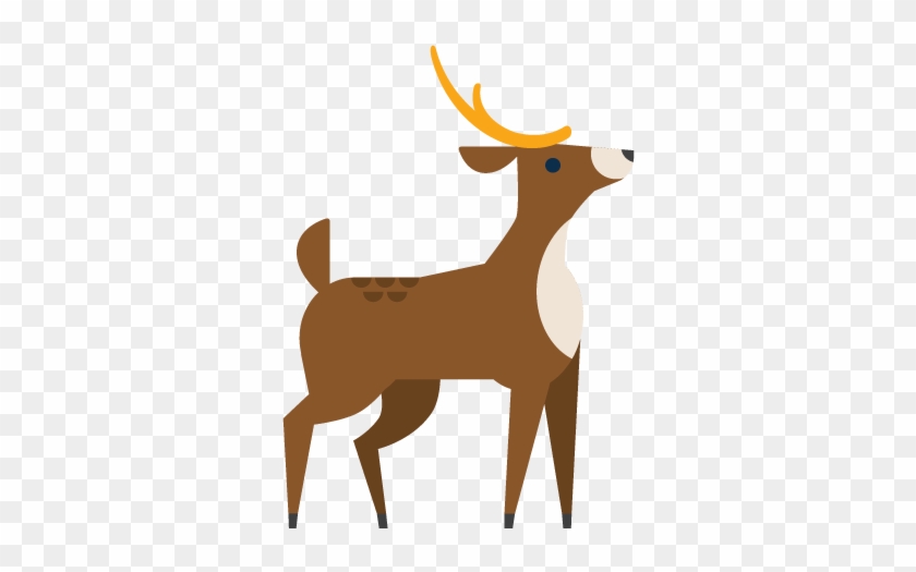 Reindeer Clip Art - Reindeer #565453