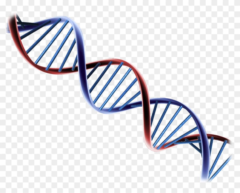 Helix2 - Psa And Prostate Cancer Research #567236