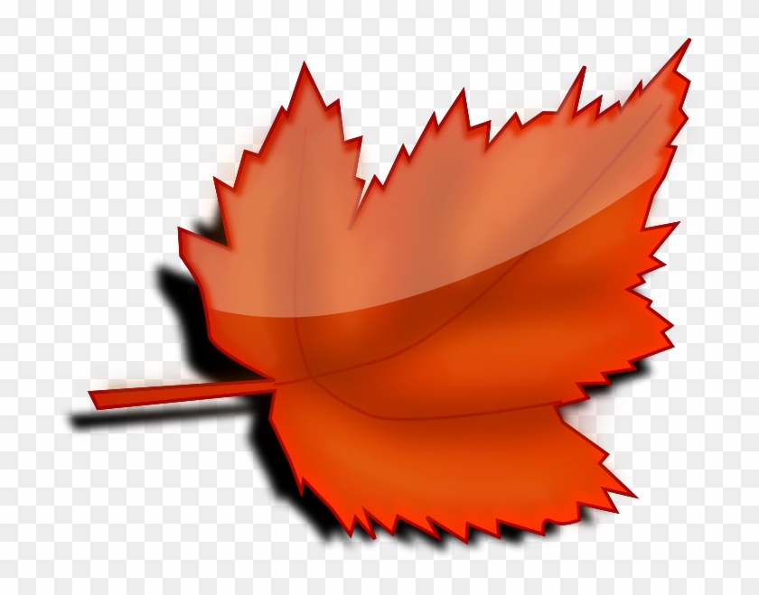 Free Leaf 5 - Autumn Love Images Gif #567735