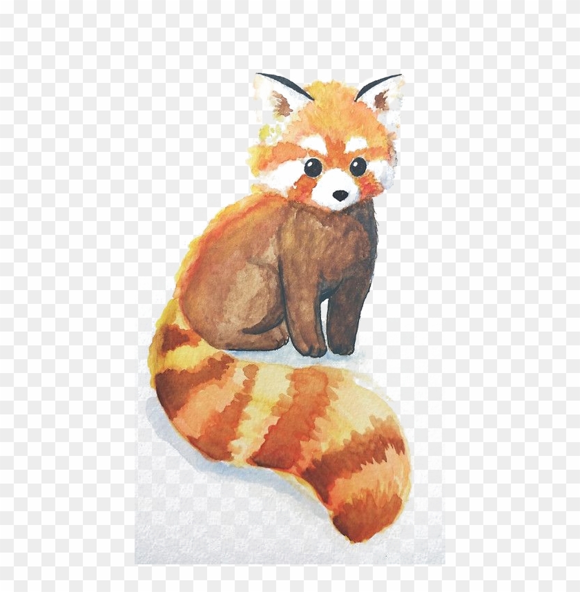 Red Panda The Giant Panda Bear Drawing - Red Panda The Giant Panda Bear Drawing #569850