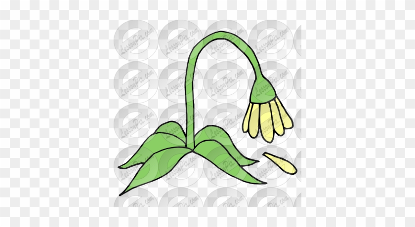 Wilt Picture - Illustration #570911