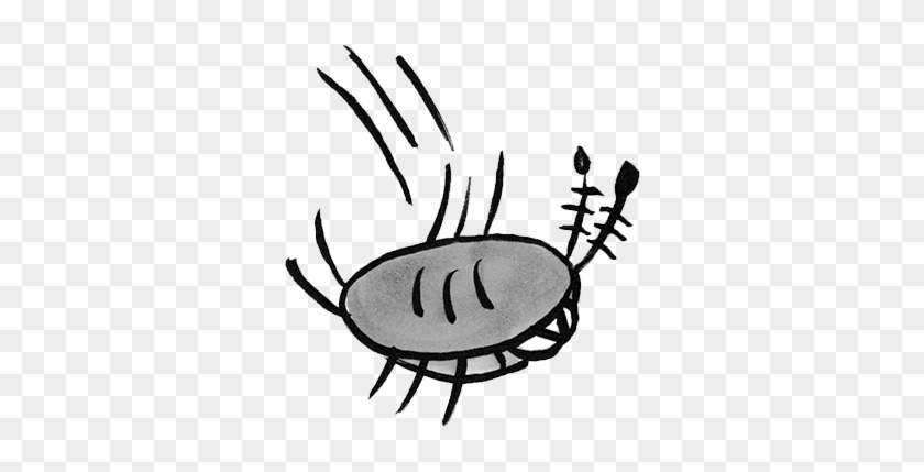 Sammy The Pillbug Stickers Messages Sticker-4 - Sammy The Pillbug Stickers Messages Sticker-4 #571303