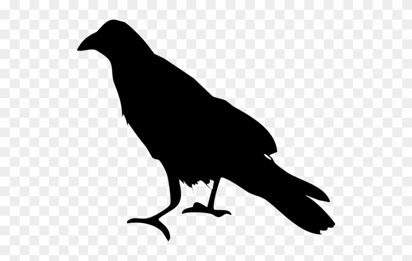Raven Silhouette - Raven Clipart Silhouette #572234