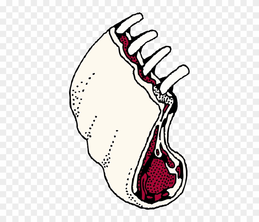 Food, Cartoon, Beef, Meat, Lamb, Ribs, Loin, Rack, - Lamb Chop Clipart #572596