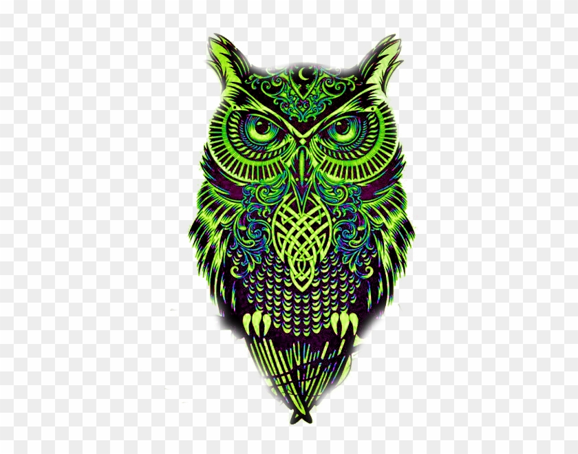 Transparent Owl Tumblr Drawing - Plantillas De Tatuajes De Buhos #573184