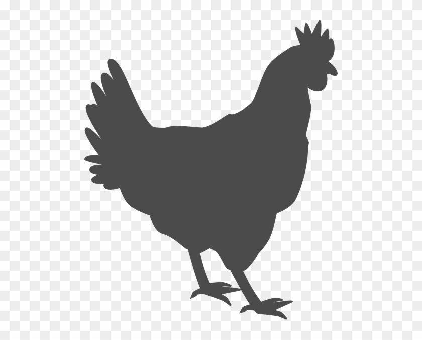 Gray Hen Clip Art - Beware Protected By A Chicken Chic Sign Vintage Retro #574140