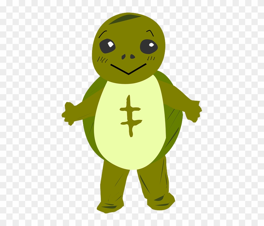 Turtle, Character, Face, Cartoon, Hair, Cute, Shell - Turtle Clip Art #575131