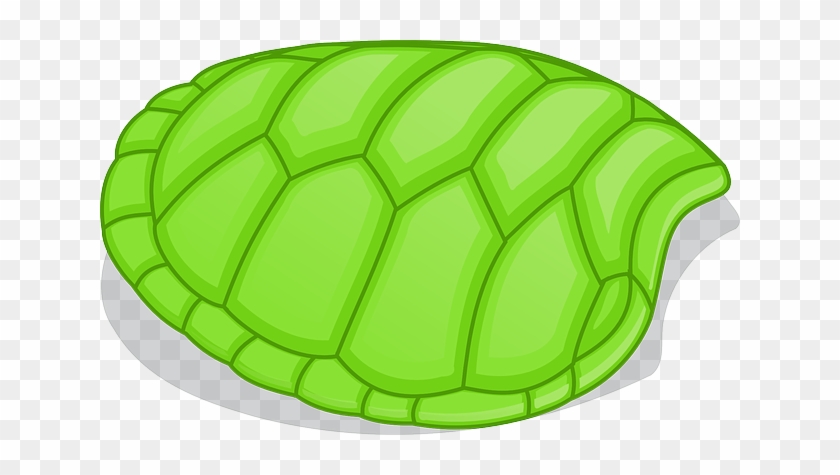 Shapes Turtle, Green, Without, Pattern, Cartoon, Shapes - Turtle Shell Clipart #575153