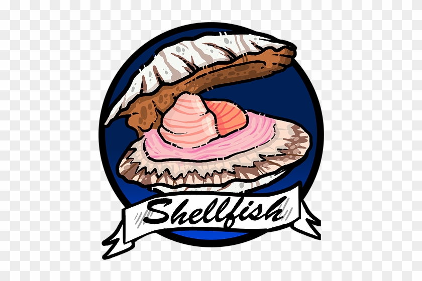 Valsop Shell Fishscallops - Valsop Shell Fishscallops #576804
