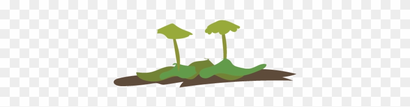 It Can Be Difficult To Differentiate And Identify Mosses, - Illustration #576817