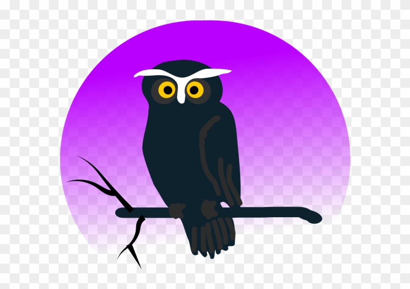 Halloween Owl Png Clip Arts - Halloween Owl Cartoon #577065