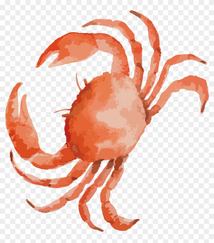Dungeness Crab Seafood - Highland Dunes Bulger Crabs Sea Animals Theme Watercolor #577692